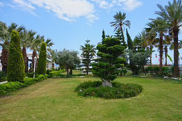 Image showing Beach hotel garden