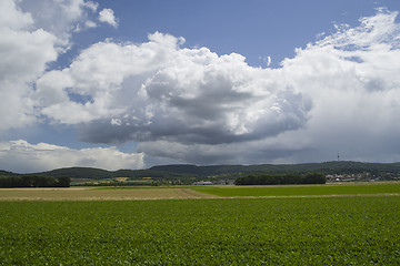 Image showing Green field and blue cloudy sky
