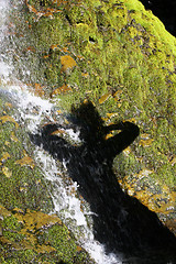 Image showing shadow shower