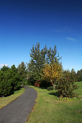 Image showing autumn path