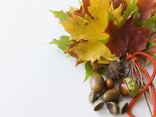 Image showing Autumn bouquet