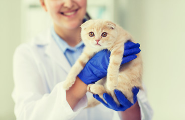 Image showing close up of vet with scottish kitten at clinic