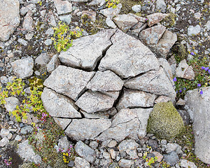 Image showing Frost leaves Destructive Patterns in a Stone