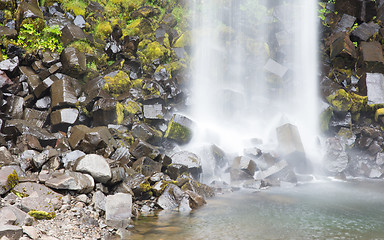 Image showing Svartifoss (Black Fall), Skaftafell, Iceland