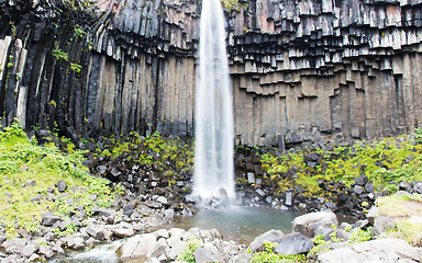 Image showing Svartifoss (Black Fall), Skaftafell, Iceland