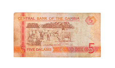 Image showing 5 Gambian dalasi bank note