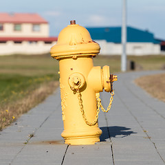 Image showing Yellow fire hydrant on a city sidewalk