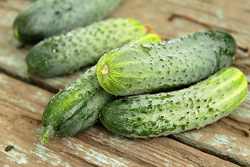 Image showing Freshly picked cucumbers