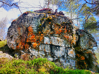 Image showing Outlier. Huge stone in Northern woods where there are trees