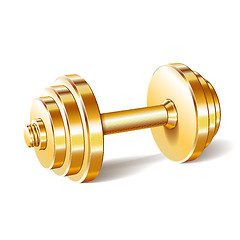 Image showing Golden realistic dumbbell