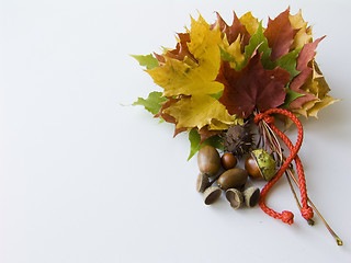 Image showing Autumn leaves bouquet