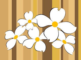 Image showing White flowers background