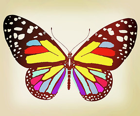 Image showing beauty butterfly. 3D illustration. Vintage style.