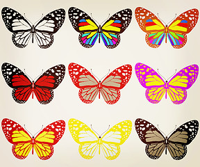 Image showing Butterflies botany set. 3D illustration. Vintage style.