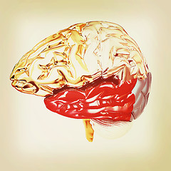Image showing Colorfull human brain. 3D illustration. Vintage style.