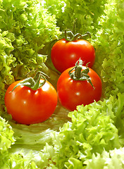 Image showing Fresh salad with tomatoes