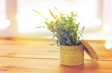 Image showing close up of melissa in basket on wooden table