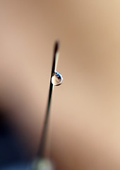 Image showing syringe close-up, focus on the drop