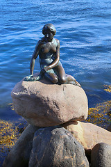 Image showing Sculpture of The Little Mermaid Copenhagen, Denmark