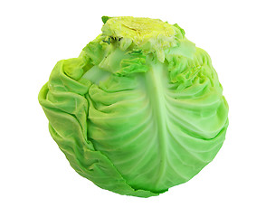 Image showing Cabbage