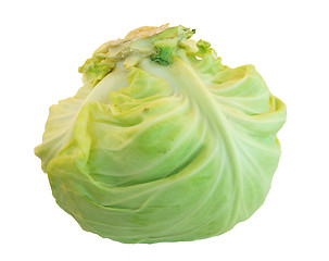 Image showing Cabbage on white