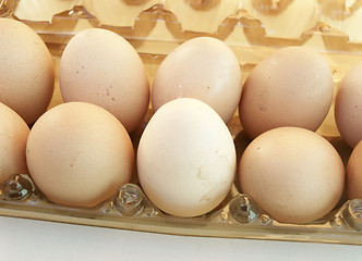 Image showing Egg in box