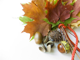 Image showing Colorful autumn gifts