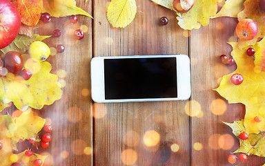 Image showing smartphone with autumn leaves, fruits and berries