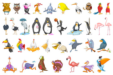 Image showing Vector set of various birds illustrations.