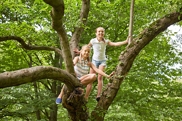 Image showing two happy girls climbing up tree in summer park