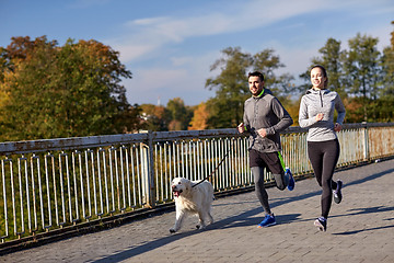 Image showing happy couple with dog running outdoors