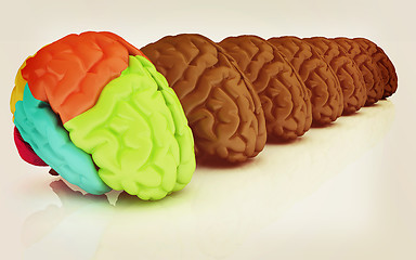 Image showing Human brains. 3D illustration. Vintage style.