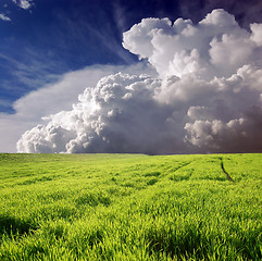 Image showing Green field and white clouds