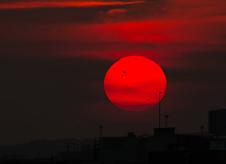 Image showing Sunset and Silhouettes