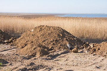 Image showing Pile of soil intended for sleep swamp