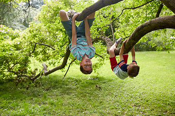 Image showing two happy boys hanging on tree in summer park