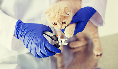 Image showing close up of vet with clipper cutting cat nail