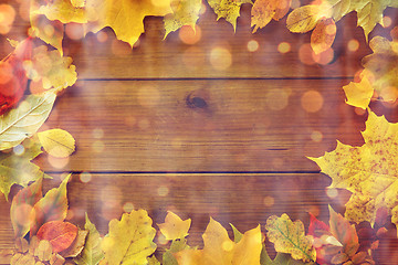 Image showing frame of many different fallen autumn leaves