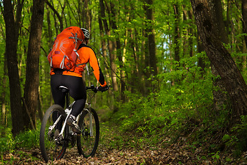 Image showing Cyclist Riding the Bike on a Trail in Summer Forest