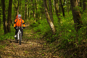 Image showing Cyclist Riding the Bike on a Trail in Summer Forest