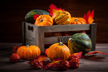 Image showing Thanksgiving and  Halloween