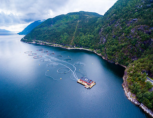 Image showing Farm salmon fishing