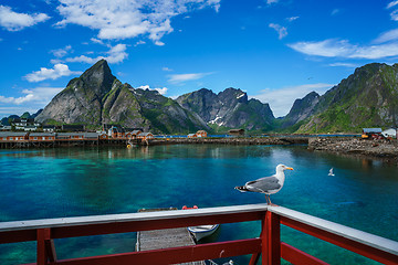 Image showing Lofoten archipelago islands