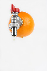 Image showing fresh orange