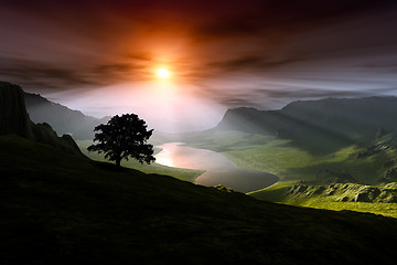 Image showing a sunset over a valley with a tree silhouette