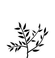 Image showing  Black Silhouette Branch Tree with Leafs