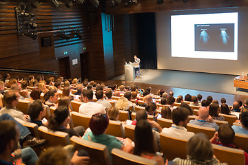 Image showing Business speaker giving a talk in conference hall.