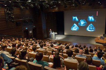 Image showing Business speaker giving a talk in conference hall.