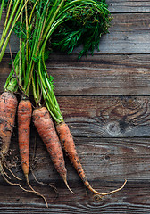 Image showing Bunch of orange carrots fresh with dirt on old rustic wood background