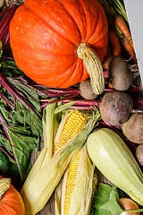 Image showing Autumn vegetables close-up